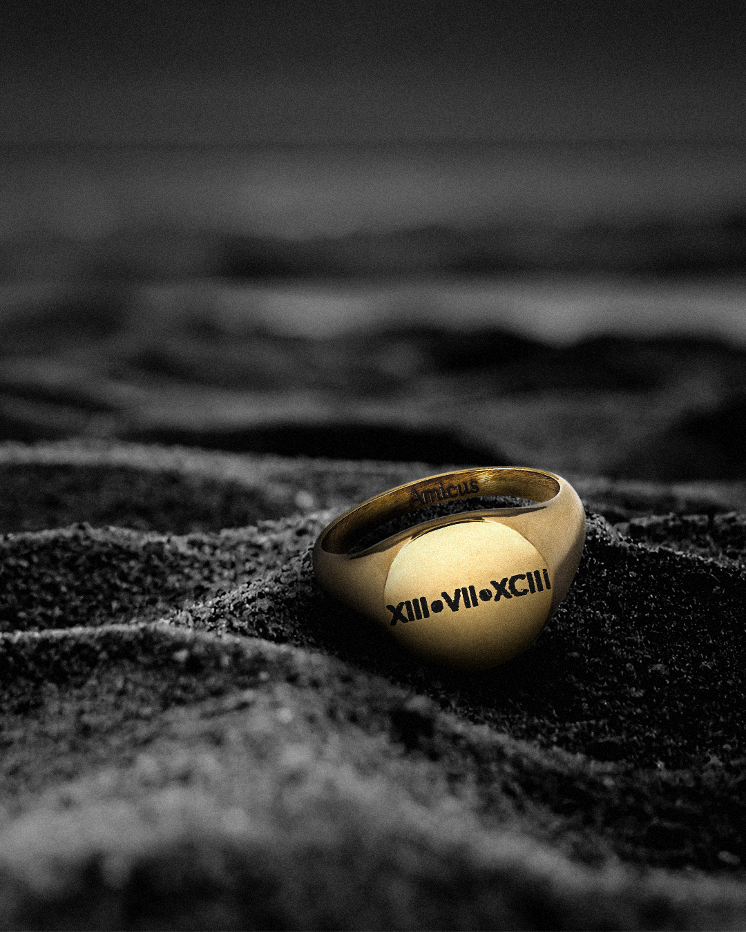 Signet Ring (Gold)